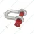 Ferreterro 2 Ton Alloy Steel Screw Pin Type D Shackle For Lifting(Pack-3 Pcs )