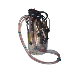 Commercial 20 Liter Milking Bucket, With SS Body