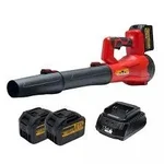 XLNT 850W Cordless Handheld Leaf Blower Machine with Dual Batteries & Charger | 32,000 RPM High-Speed Air Blower for Garden, Farm & Outdoor Cleaning