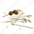 2000 Pcs, 6 Inch Bamboo Knot Picks for Serving Eco-Friendly Appetizers, Starters