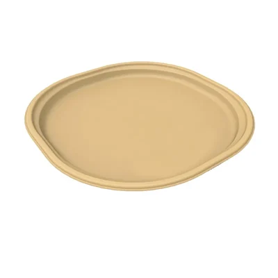 12 Inch Chuk Biodegradable Plates Leak Proof Dinner Plates for Parties & Family Event | 100% Compostable Tableware(Pack-500 Pcs)