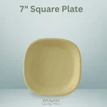 PAAVAN 7 Inch Square Eco-Friendly Disposable Plates for Birthday, Wedding & Party Use