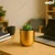 Ecofynd Ivara Metal Flower Plant Pots For Home Garden Living Room Bedroom Interior (Gold Finish, POT045)