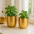 Ecofynd Ivara Metal Flower Plant Pots For Home Garden Living Room Bedroom Interior (Gold Finish, POT045)