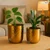Ecofynd Ivara Metal Flower Plant Pots For Home Garden Living Room Bedroom Interior (Gold Finish, POT045)