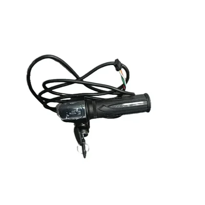 Premium Quality ABS Body Battery Indicator Key Lock Switch E-Cycle Electric Bike Twist Throttle