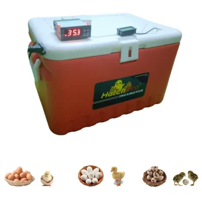 Hatchpro 36 Eggs Fully Automatic Incubator With Egg Turning Tray for Chicken, Duck, Quail