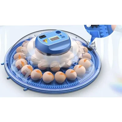 Hatchpro 18 Eggs Automatic Egg Incubator For Egg Hatching