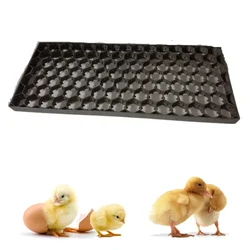 Premium Quality Egg Tray, 101 Egg Capacity(Pack-1 pc)