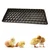 Premium Quality Egg Tray, 101 Egg Capacity(Pack-1 pc)