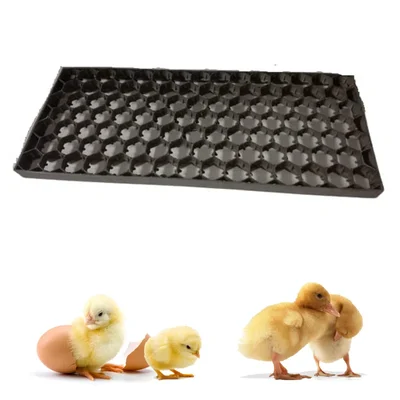 Premium Quality Egg Tray, 101 Egg Capacity(Pack-1 pc)