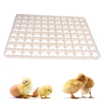 Premium Quality Plastic Egg Tray, 88 Egg Capacity