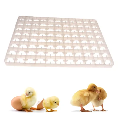 Premium Quality Plastic Egg Tray, 88 Egg Capacity(Pack-1 Pcs)