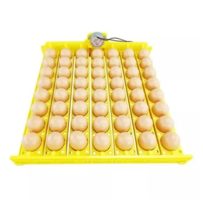 56 Pcs Chicken/Duck Egg Tray Set With Motor and Plastic Body