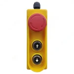 Heavy Duty Remote With Urgent Button For Single Phase Electric Hoist