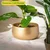 Ecofynd Metal Plant Pots with Drainage Hole, Home Garden Planter for Living Room Bedroom Interior (Gold Finish, POT016)