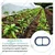 End Cap 20MM 100 Nos For Drip Irrigation
