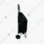 Everbest 38 Liters Shopping Trolley Bag with 2 Wheels (Black)