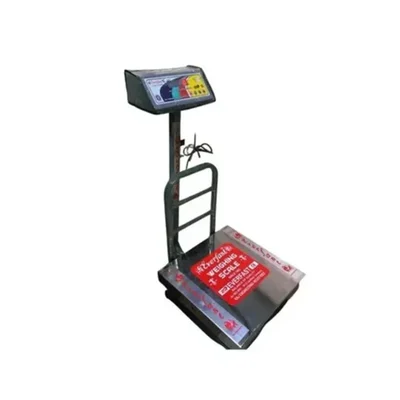Everfast 220V Dual LED Business Weight Tracking Stainless Steel Pan Platform Scale