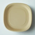PAAVAN Bagasse Disposable 12 inch Dinner Plate |Sugarcane Paper Plates for Serving Snacks, Birthday Party
