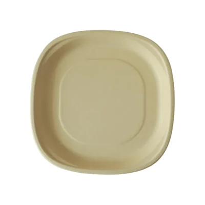 PAAVAN Bagasse Disposable 12 inch Dinner Plate |Sugarcane Paper Plates for Serving Snacks, Birthday Party(Pack-25 Pcs)