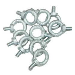 Safelift 8 mm Eye Bolt, DIN 580 Galvanised(Pack-10 Pcs)