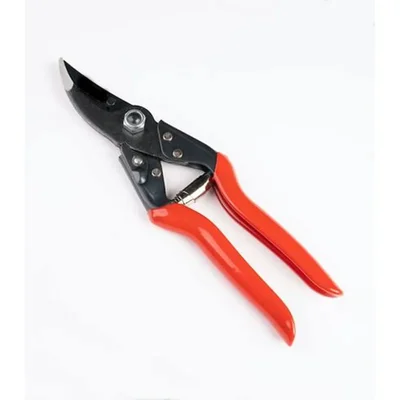Global Nature Agro Pruning Secateur, For Easy Cutting, Pruning Woody Stems, Trimming Shrubs & Hedges