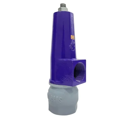 My Irigacio World  2” female Thread connection Pressure Release Valve for Irrigation us