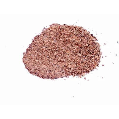 Ficus religiosa Tree seeds - Arasa Maram Seeds - (100g)