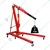3D Master 2 Ton Capacity Hydraulic Floor Crane With 2450 mm Maximum Lifting Height