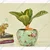 Ecofynd High-quality, Multicoloured, Floral Print Metal Planter Pot for Home Decor 