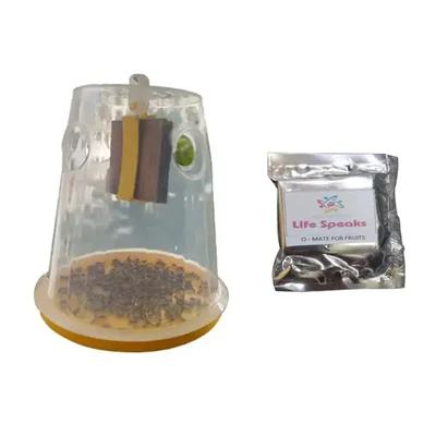 3 pcs of Fly Trap O Mat for Trap Container and Fruit Fly Lure