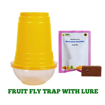 WAVAR Fruit Fly Trap with Bactrocera Dorsalis Lure(Pack-Pack of 3 (3 Traps and 3 Lures))