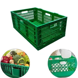Singhal 25 Litre Plastic Container Foldable Crate 500x325x200 mm, Green Colour