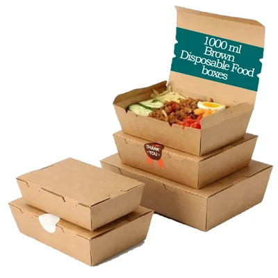 POCHEON® 50 pcs 1000 ml Disposable Kraft Paper Boxes(Color-Brown)