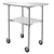 SS 24x24 inch Food Preparation Working Table with Wheels and Undershelf for Restaurant, Home and Hotel