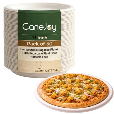 CANEJOY Sugarcane Bagasse Plain Plates 11 inch Dia., Round White Eco-Friendly Plates for Parties & Catering(Pack-50 pcs)