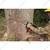 Forester FOR 6200 Petrol Operated 62-cc Chainsaw with 22 inch Guide Bar | Used for Tree Felling, Wood Logging