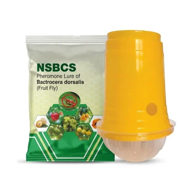 NSBCS Bactrocera Dorsalis Pheromone Lure | Fruit Fly Trap Attractant | Eco-Friendly Organic IPM Pest Control