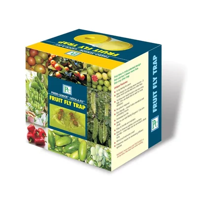 Catch-Fly Fruit Fly Trap for Fruit Crops and Vegetables (Pack of 3)