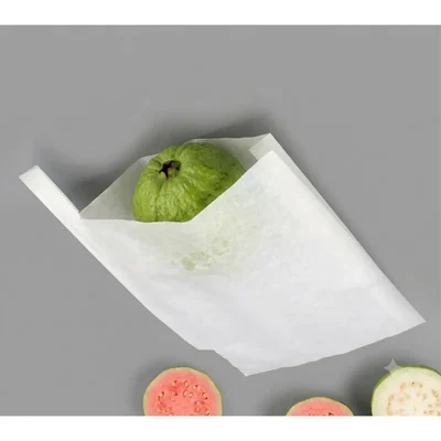 (Pack of 200) Guava Fruit Protection Bag 25 x 15 cm for Garden and Orchard | White Colour Breathable Paper Cover
