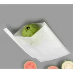 (Pack of 200) Guava Fruit Protection Bag 25 x 15 cm for Garden and Orchard | White Colour Breathable Paper Cover
