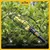 Hectare Fruit Harvester Handheld Picker for Lemon, Orange & Small Fruits (Without Handle)