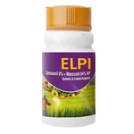 Katyayani ELPI | Cymoxanil 8 % + Mancozeb 64 % WP | Chemical fungicide
