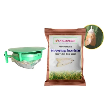 SK Agrotech Funnel Trap with Rice Yellow Stem Borer Lure (Scirpophaga Incertulas)(Quantity-5 Traps and 5 Lures)