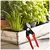 Jaiveer Garden Tools Set of a German Pruner, Double Cut Pruner, Garden Fork, Khurpi and a Scissor | Used for Gardening