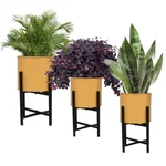 Heavy Duty Modern Floor Flower Stands Without Pots For Bedroom, Living Room, Garden & Balcony Decoration (Set of 3)