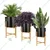 Heavy Duty Modern Floor Flower Stands Without Pots For Bedroom, Living Room, Garden & Balcony Decoration (Set of 3)(Color-Black)
