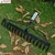 Global Nature Agro 16 Tine Garden Rake With Handle, 16 Inch Blade, Metal Manual Rake For Home, Farming & Gardening