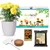 Ecofynd GROWKIT009 Grow Kit Of Marigold Flower DIY Easy Grow it Yourself Gardening Kit for Home And Garden 